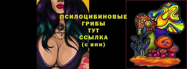 эйфоретик Кулебаки