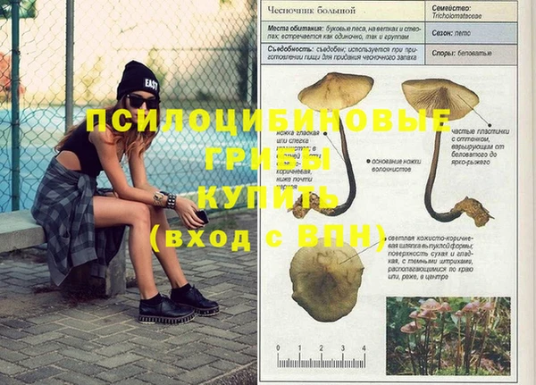 гидропоника Балахна
