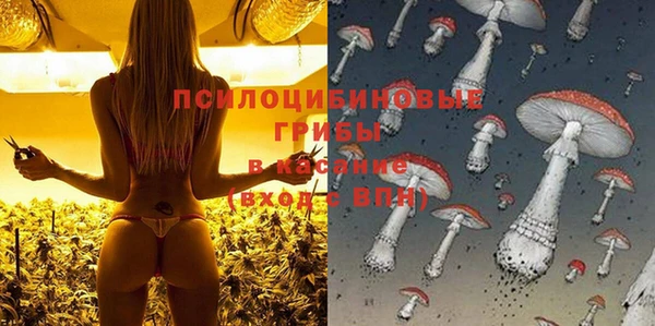 твердый Кукмор