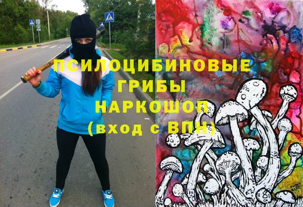 кокс Баксан